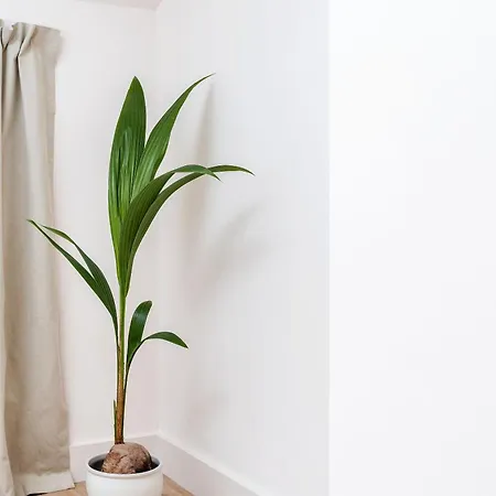 6-bedroom, 6-bathroom Contractor *