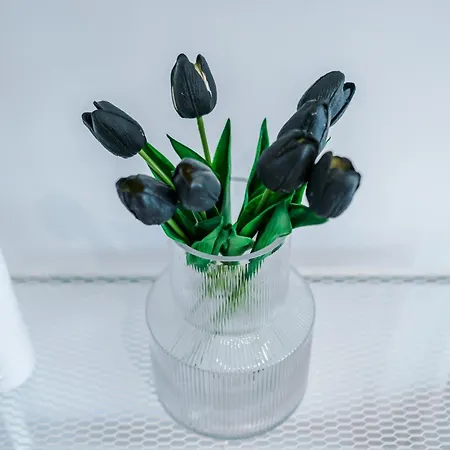 Driveway Stunning 3bedroom In Withington * מנצ'סטר