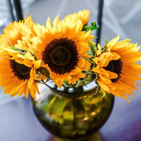 Mcr 2br 2ba, Parking, Wifi, Full Kitchen Διαμέρισμα