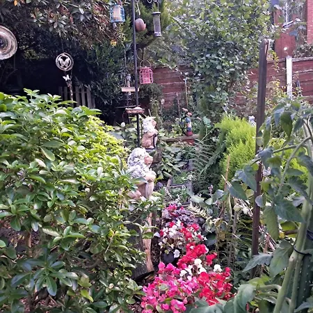 Bella Thorpe Manchester