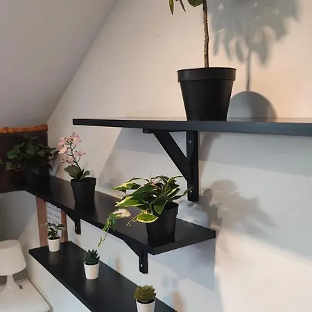 Edwardian House בית אירוח