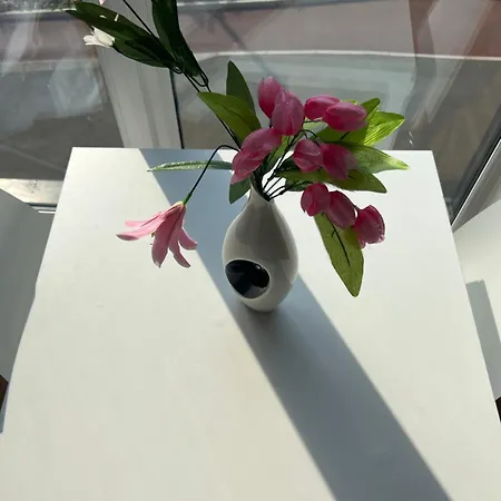 Tj Luxe Salford Manchester