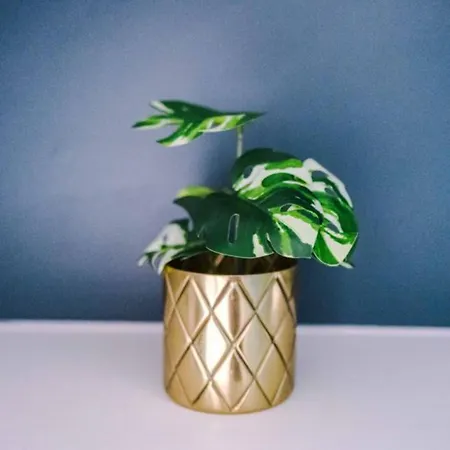 Modern Spacious Sleeps 5 Free High-speed Wi-fi Apartment *