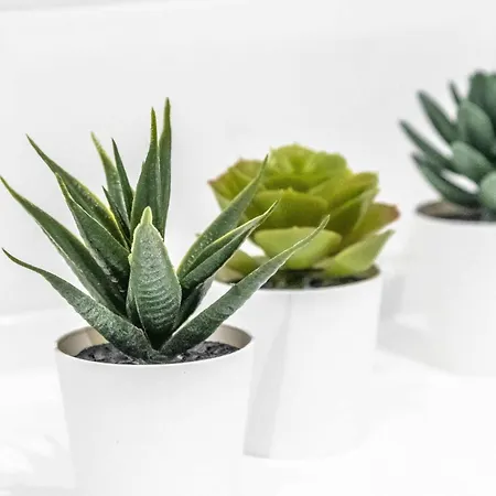 Stunning 2 Bed Near Etihad *