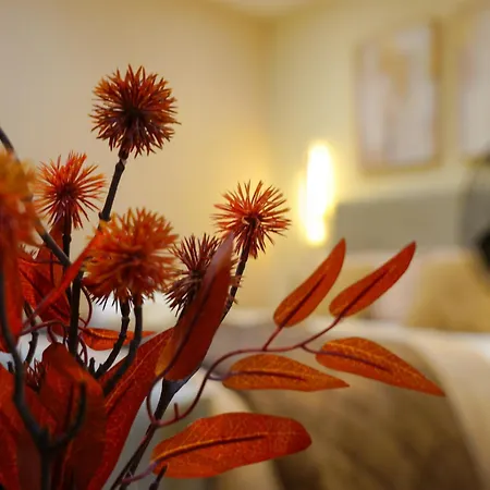 Luxehaus Mcr Manchester