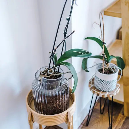 Apartament Elegant 2br Flat Near Northern Quarter