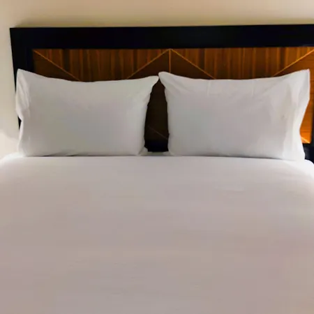 酒店 曼联萨斯酒店 曼彻斯特