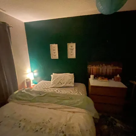 Comfortable Cat-friendly With Garden & Parking Séjour chez l'habitant *