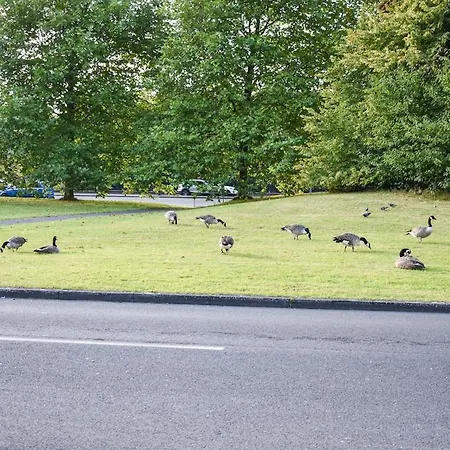 New 3 Bedroom Stylish With Drive & Garden * Mánchester