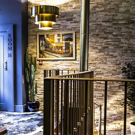 The Cow Hollow מלון 4*