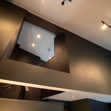 Urban Jungle By Domu