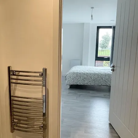 Modern House