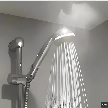 Piccadilly Private And Bathroom *