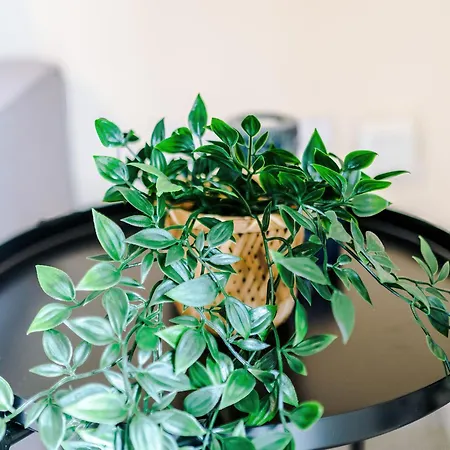 Spacious 3-bed With Free Parking And Near Centre 別荘 *