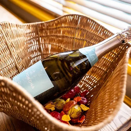 Vibrant 3 Bedroom Art Duplex Spacious & Unique