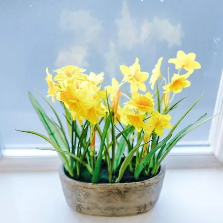 Appartamento Luxury 2 Bed Close To Coop Etihad And Centre *