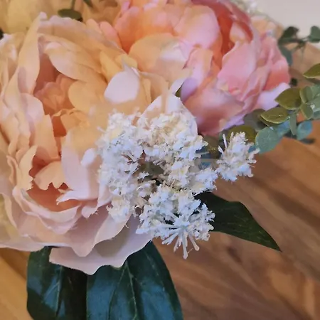 Greenland 62 * Manchester