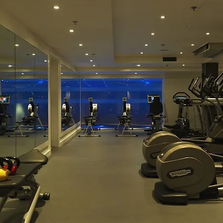 에드워디안 맨체스터, 어 래디슨 컬렉션