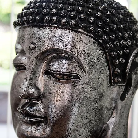 Hotel Ivy Mount Boutique