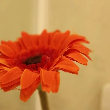 Atana Hotel apartamentowy Manchester