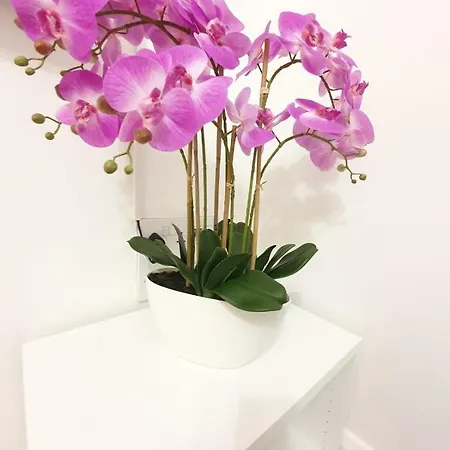 Manchester Holiday Apartment アパート *