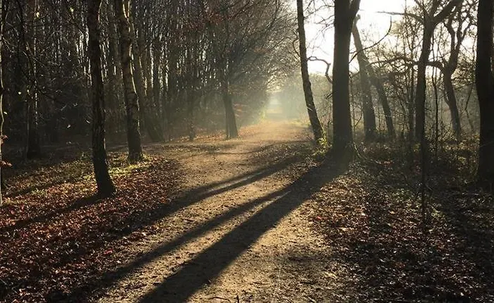 Chorlton Garden Rooms. Relax, Work, And Play. * مانشستر