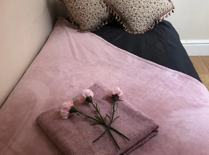 Big Rusholme With Tv And Private Bathroom-parking&wifi Couette-café *