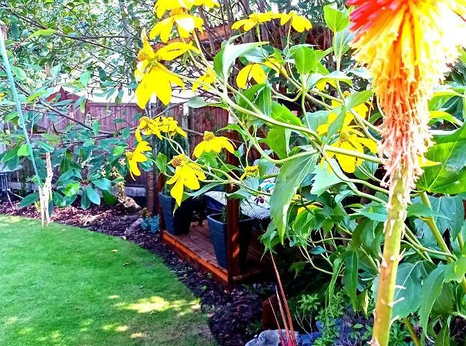 Movie Nights And Chill