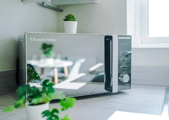 Videl Homes 度假居