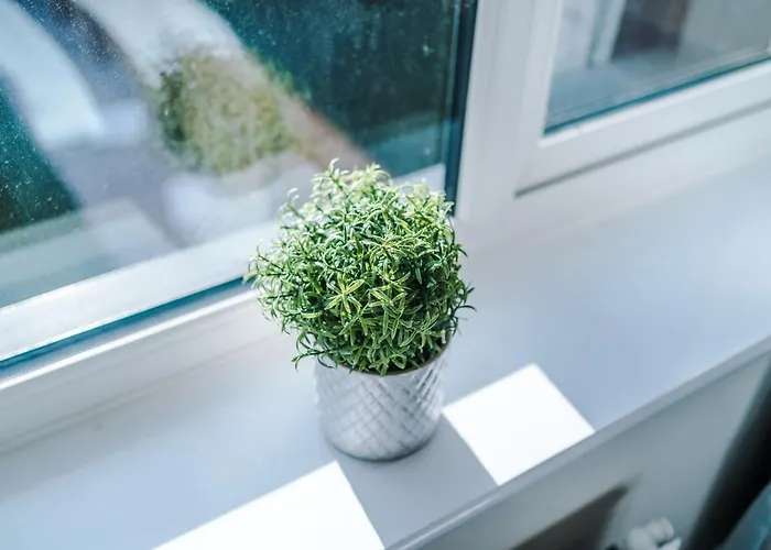 Videl Homes 度假居 *