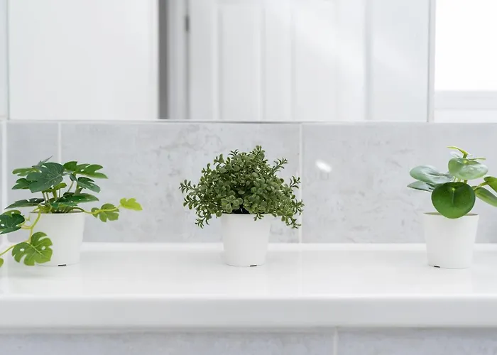 4 Bedroom, 3 Bathroom Walking Distance To Centre * Manchester