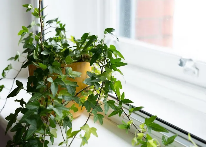 High Street Town House Ξενοδοχείο με διαμερίσματα 4*