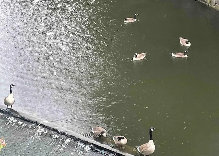 Cityfront Cosy Near Centre & Etihad Stadium, Free Parking Apartamento