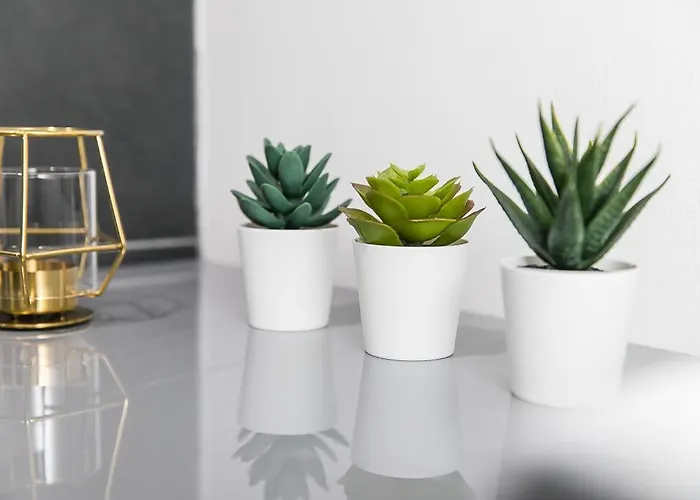 Hotel Ancoats House *