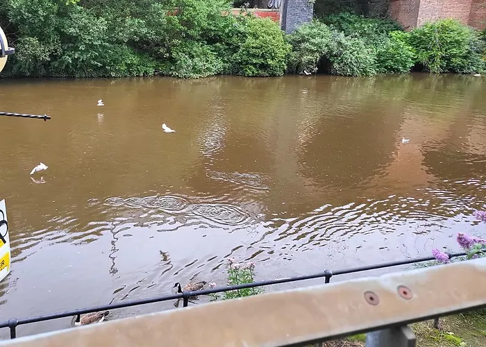 아파트 Luxury 2 Bed On River, Wifi, Parking, Garden