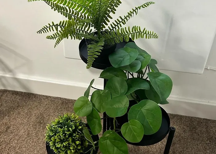 Apartamento Failsworth Luxury With Free Parking By Daley