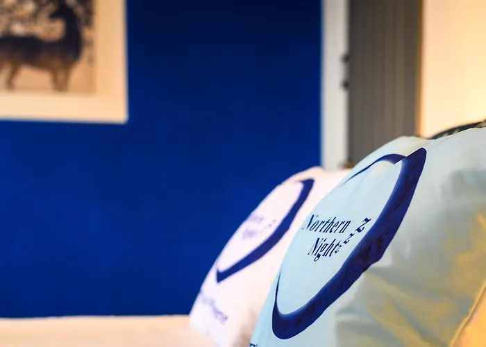 Serviced Northernnightzzz - The Park *