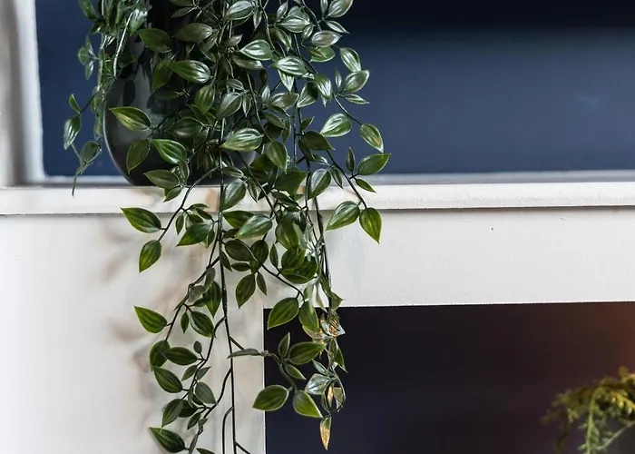 Сasa de vacaciones The Heart - Cosy 3 Bedroom House With Double Driveway And Garden In *