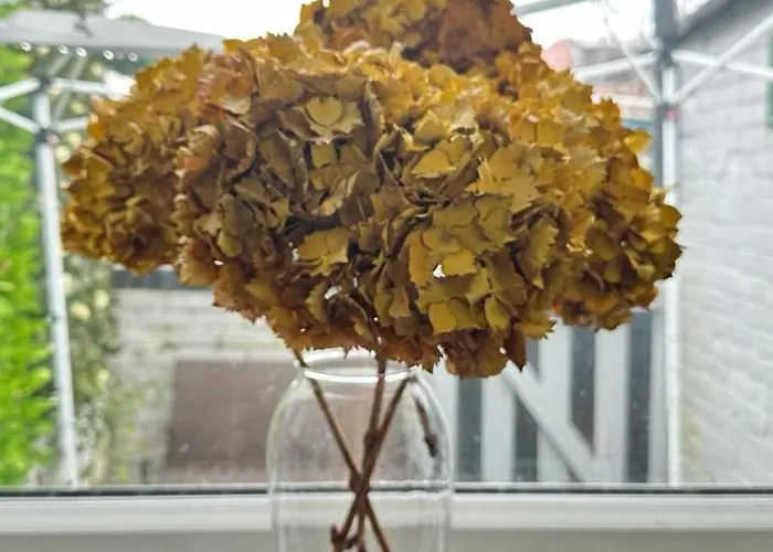 Ur Place 204 아파트 맨체스터