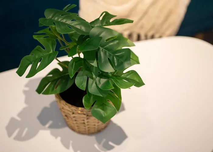 Apartament Msrsh Lux 5 *