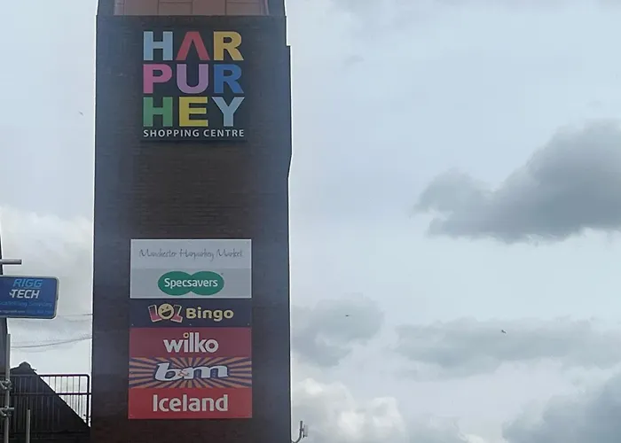 Dynasty - Alison Kelly Close Manchester