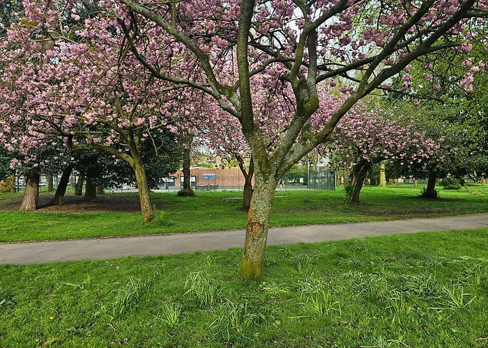 Alexandra Park Apartamento Mánchester