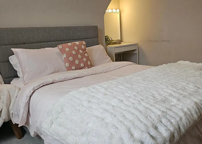 Shaun The Sheep Pansiyon *