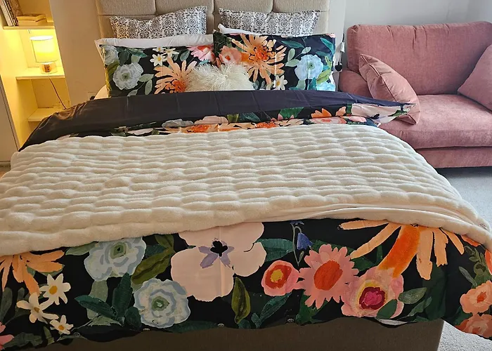 Shaun The Sheep Pansiyon Manchester