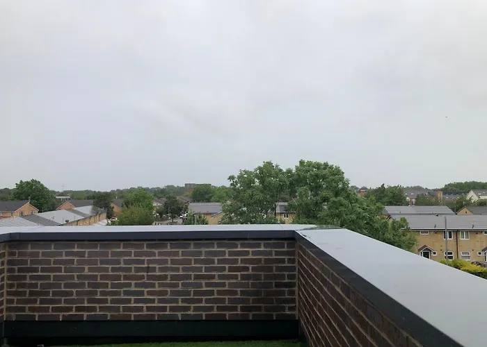 Unite Management Ltd