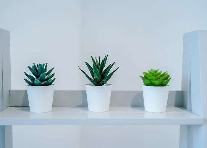 The Retreat Near Salford Quays *