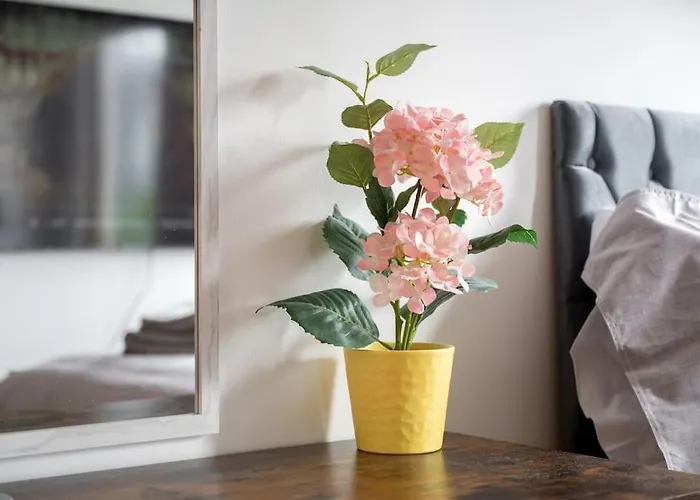 Piccadilly Luxury Three Bedroom 아파트 맨체스터