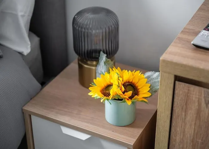 Modern Chique Apartment Manchester