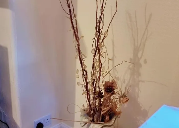 Semesterbostad Mancunian Pride