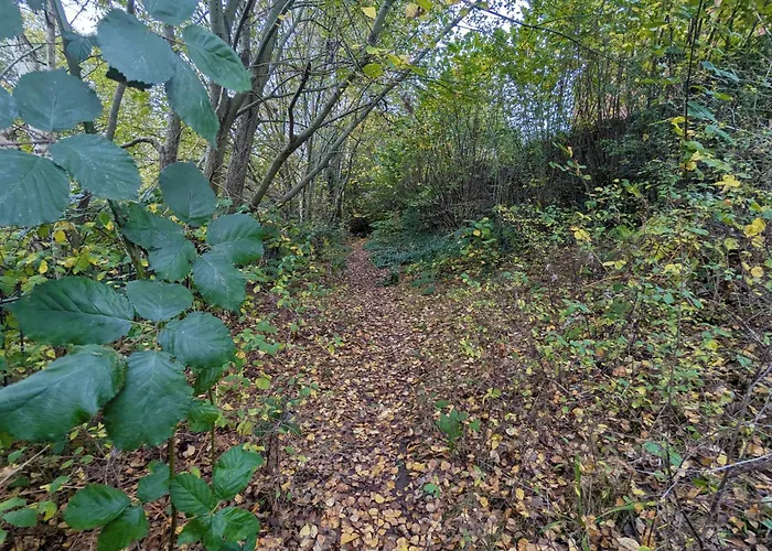 Spacious 4 Bed Riverside Feriehus